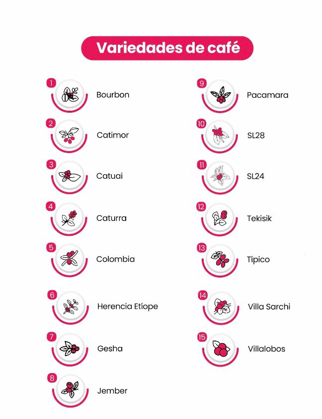 variedad del café